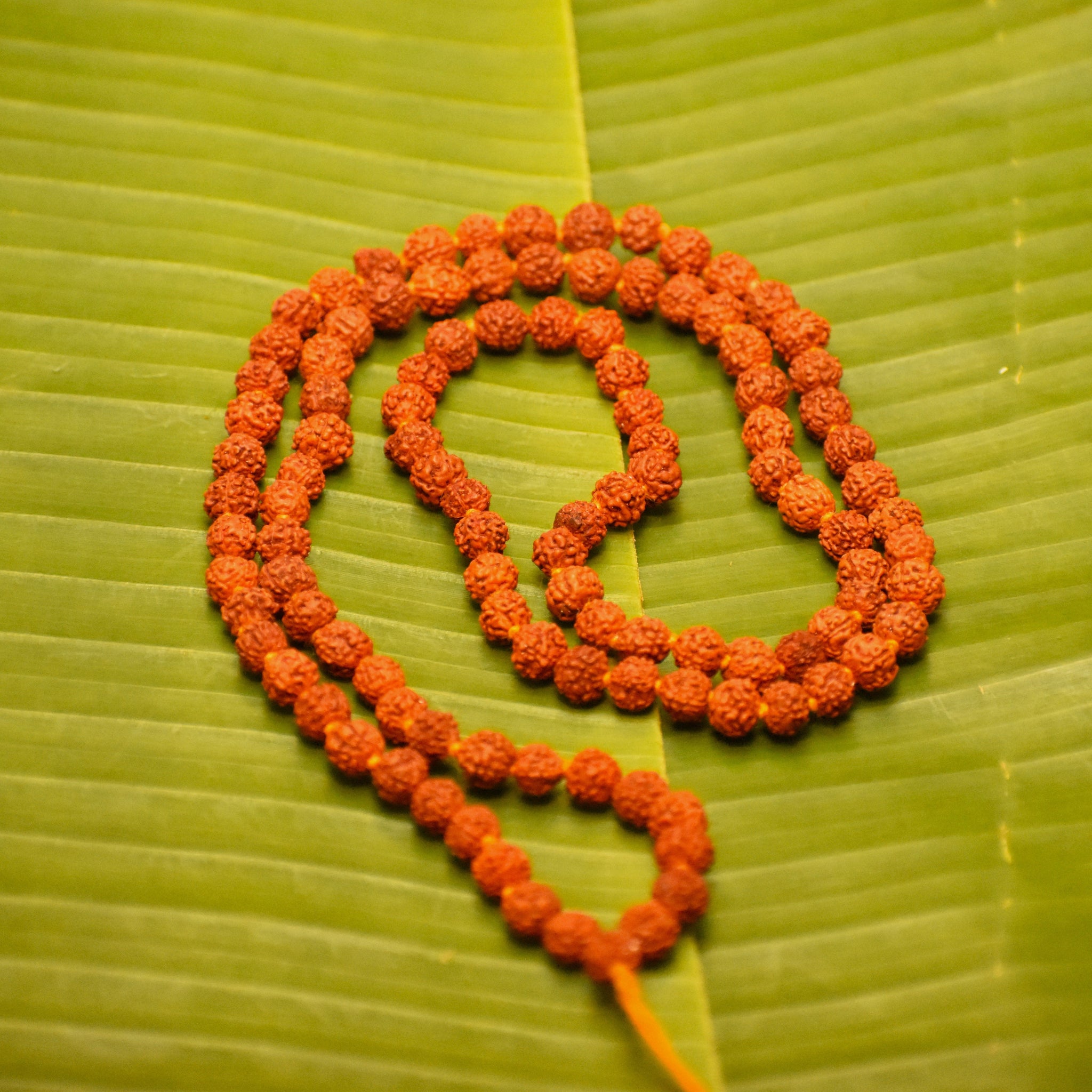 Shiv Panchmukhi Jaap Mala